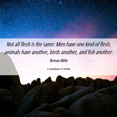 Picture 06 - 1 Corinthians 15:39 BSB - Not all flesh is the same: Men have one kind of - Bible Verse Picture