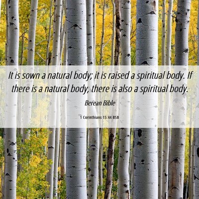 Picture 06 - 1 Corinthians 15:44 BSB - It is sown a natural body; it is raised a - Bible Verse Picture