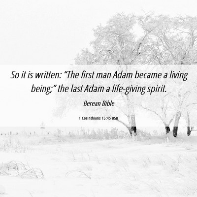Picture 06 - 1 Corinthians 15:45 BSB - So it is written: “The first man Adam became a - Bible Verse Picture