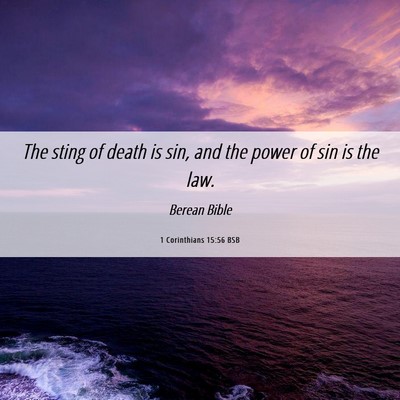 Picture 06 - 1 Corinthians 15:56 BSB - The sting of death is sin, and the power of sin - Bible Verse Picture