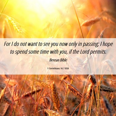 Picture 06 - 1 Corinthians 16:7 BSB - For I do not want to see you now only in passing; - Bible Verse Picture