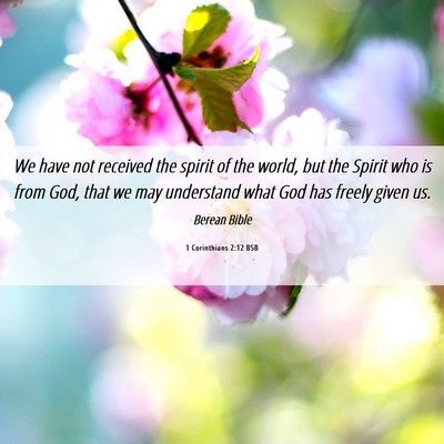 Picture 06 - 1 Corinthians 2:12 BSB - We have not received the spirit of the world, but - Bible Verse Picture