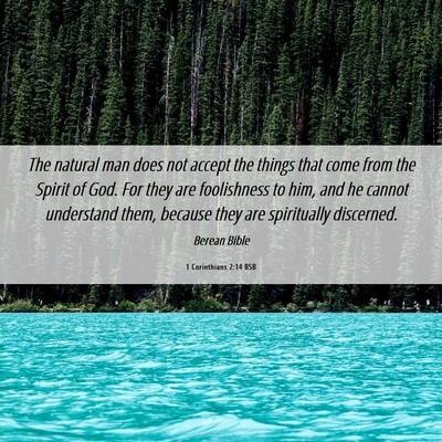 Picture 06 - 1 Corinthians 2:14 BSB - The natural man does not accept the things that - Bible Verse Picture