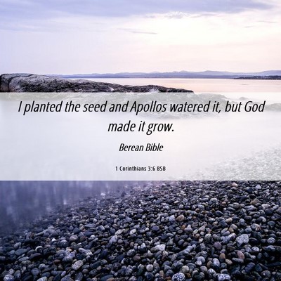 Picture 06 - 1 Corinthians 3:6 BSB - I planted the seed and Apollos watered it, but - Bible Verse Picture