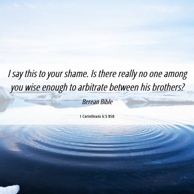 Picture 06 - 1 Corinthians 6:5 BSB - I say this to your shame. Is there really no one - Bible Verse Picture