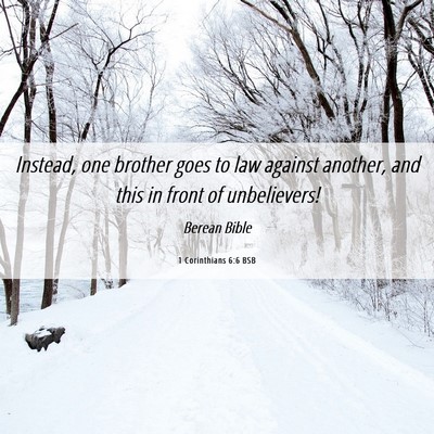 Picture 06 - 1 Corinthians 6:6 BSB - Instead, one brother goes to law against another, - Bible Verse Picture