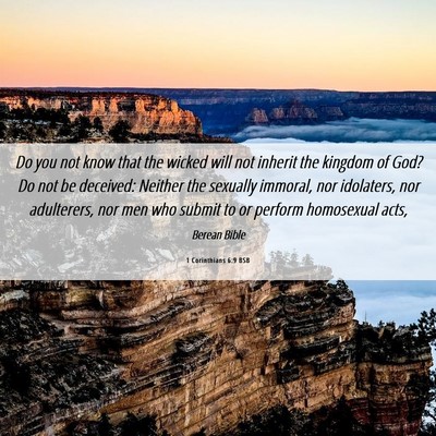 Picture 06 - 1 Corinthians 6:9 BSB - Do you not know that the wicked will not inherit - Bible Verse Picture