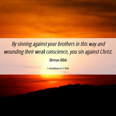Picture 06 - 1 Corinthians 8:12 BSB - By sinning against your brothers in this way and - Bible Verse Picture