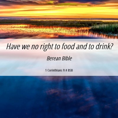 Picture 06 - 1 Corinthians 9:4 BSB - Have we no right to food and to - Bible Verse Picture