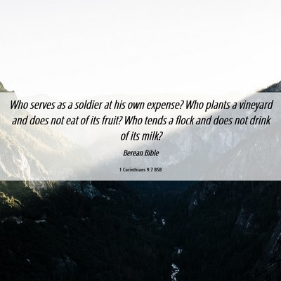 Picture 06 - 1 Corinthians 9:7 BSB - Who serves as a soldier at his own expense? Who - Bible Verse Picture