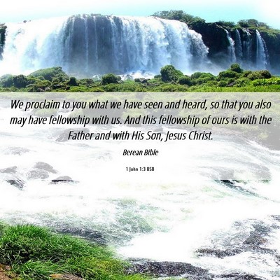 Picture 06 - 1 John 1:3 BSB - We proclaim to you what we have seen and heard, - Bible Verse Picture