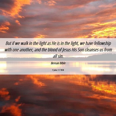 Picture 06 - 1 John 1:7 BSB - But if we walk in the light as He is in the - Bible Verse Picture