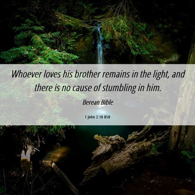 Picture 06 - 1 John 2:10 BSB - Whoever loves his brother remains in the light, - Bible Verse Picture