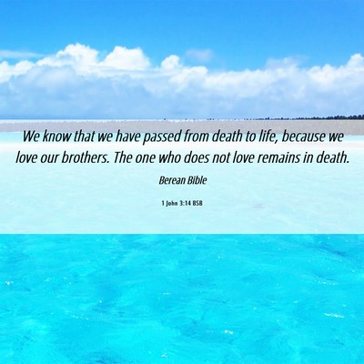 Picture 06 - 1 John 3:14 BSB - We know that we have passed from death to life, - Bible Verse Picture