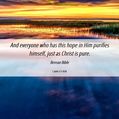 Picture 06 - 1 John 3:3 BSB - And everyone who has this hope in Him purifies - Bible Verse Picture