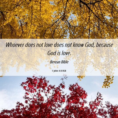 Picture 06 - 1 John 4:8 BSB - Whoever does not love does not know God, because - Bible Verse Picture