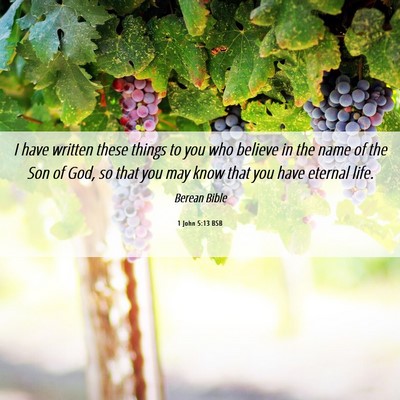 Picture 06 - 1 John 5:13 BSB - I have written these things to you who believe in - Bible Verse Picture