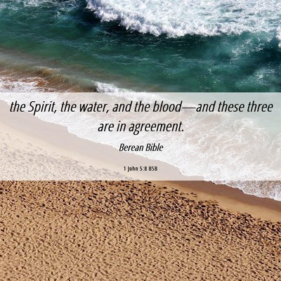 Picture 06 - 1 John 5:8 BSB - the Spirit, the water, and the blood—and these - Bible Verse Picture