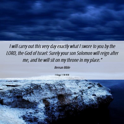 Picture 06 - 1 Kings 1:30 BSB - I will carry out this very day exactly what I - Bible Verse Picture