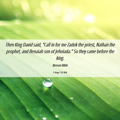 Picture 06 - 1 Kings 1:32 BSB - Then King David said, “Call in for me Zadok the - Bible Verse Picture