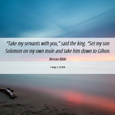 Picture 06 - 1 Kings 1:33 BSB - “Take my servants with you,” said the king. - Bible Verse Picture