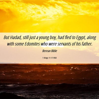 Picture 06 - 1 Kings 11:17 BSB - But Hadad, still just a young boy, had fled to - Bible Verse Picture