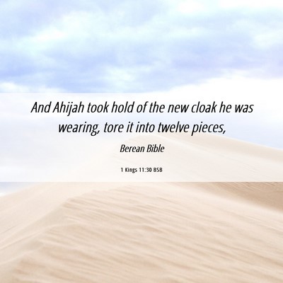 Picture 06 - 1 Kings 11:30 BSB - And Ahijah took hold of the new cloak he was - Bible Verse Picture