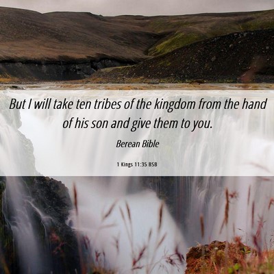 Picture 06 - 1 Kings 11:35 BSB - But I will take ten tribes of the kingdom from - Bible Verse Picture