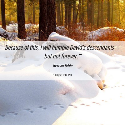 Picture 06 - 1 Kings 11:39 BSB - Because of this, I will humble David’s - Bible Verse Picture