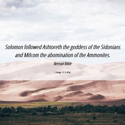 Picture 06 - 1 Kings 11:5 BSB - Solomon followed Ashtoreth the goddess of the - Bible Verse Picture