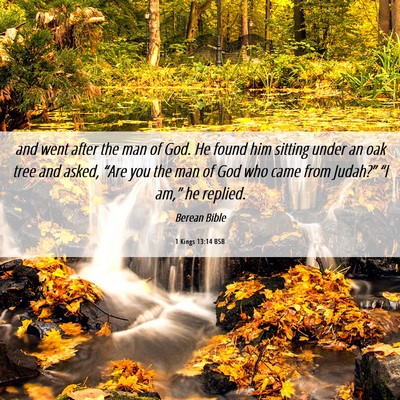 Picture 06 - 1 Kings 13:14 BSB - and went after the man of God. He found him - Bible Verse Picture
