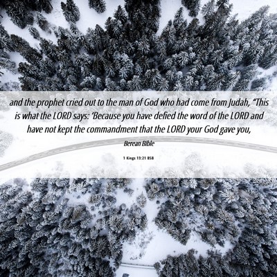Picture 06 - 1 Kings 13:21 BSB - and the prophet cried out to the man of God who - Bible Verse Picture