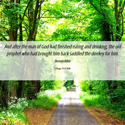Picture 06 - 1 Kings 13:23 BSB - And after the man of God had finished eating and - Bible Verse Picture