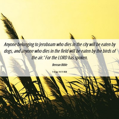 Picture 06 - 1 Kings 14:11 BSB - Anyone belonging to Jeroboam who dies in the city - Bible Verse Picture