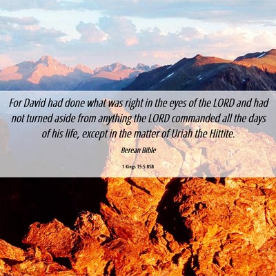 Picture 06 - 1 Kings 15:5 BSB - For David had done what was right in the eyes of - Bible Verse Picture