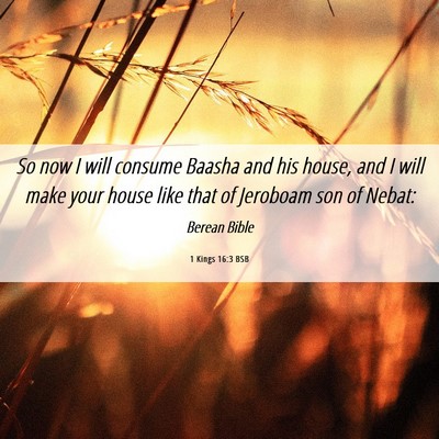 Picture 06 - 1 Kings 16:3 BSB - So now I will consume Baasha and his house, and I - Bible Verse Picture