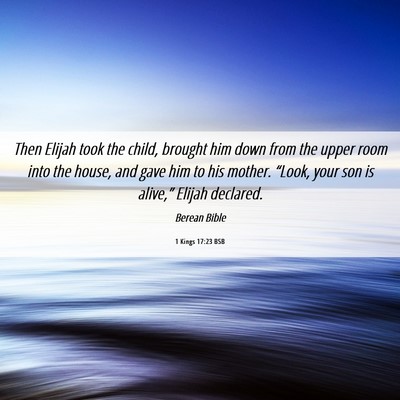 Picture 06 - 1 Kings 17:23 BSB - Then Elijah took the child, brought him down from - Bible Verse Picture