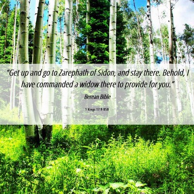 Picture 06 - 1 Kings 17:9 BSB - “Get up and go to Zarephath of Sidon, and stay - Bible Verse Picture