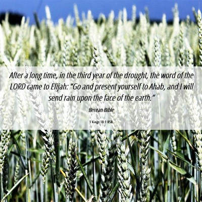 Picture 06 - 1 Kings 18:1 BSB - After a long time, in the third year of the - Bible Verse Picture
