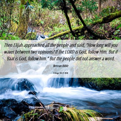 Picture 06 - 1 Kings 18:21 BSB - Then Elijah approached all the people and said, - Bible Verse Picture