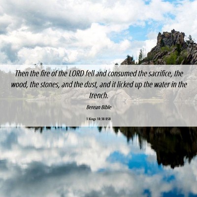 Picture 06 - 1 Kings 18:38 BSB - Then the fire of the LORD fell and consumed the - Bible Verse Picture