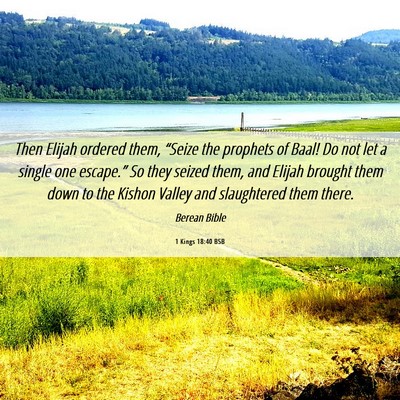 Picture 06 - 1 Kings 18:40 BSB - Then Elijah ordered them, “Seize the prophets - Bible Verse Picture