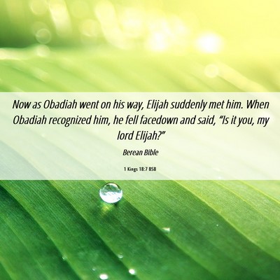 Picture 06 - 1 Kings 18:7 BSB - Now as Obadiah went on his way, Elijah suddenly - Bible Verse Picture