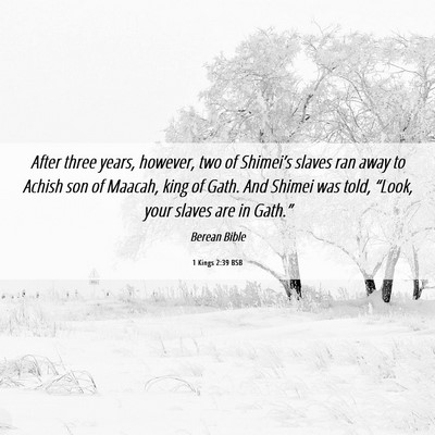 Picture 06 - 1 Kings 2:39 BSB - After three years, however, two of Shimei’s - Bible Verse Picture