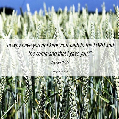 Picture 06 - 1 Kings 2:43 BSB - So why have you not kept your oath to the LORD - Bible Verse Picture