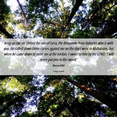 Picture 06 - 1 Kings 2:8 BSB - Keep an eye on Shimei the son of Gera, the - Bible Verse Picture