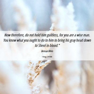 Picture 06 - 1 Kings 2:9 BSB - Now therefore, do not hold him guiltless, for you - Bible Verse Picture