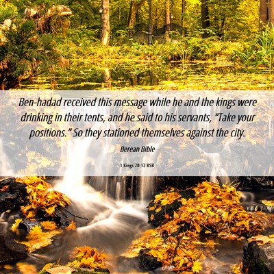 Picture 06 - 1 Kings 20:12 BSB - Ben-hadad received this message while he and the - Bible Verse Picture