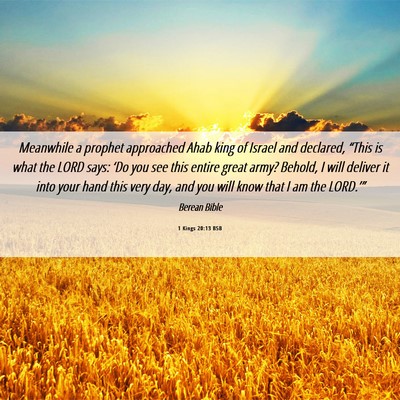 Picture 06 - 1 Kings 20:13 BSB - Meanwhile a prophet approached Ahab king of - Bible Verse Picture
