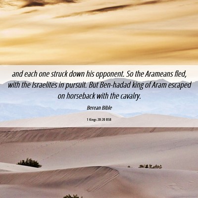 Picture 06 - 1 Kings 20:20 BSB - and each one struck down his opponent. So the - Bible Verse Picture